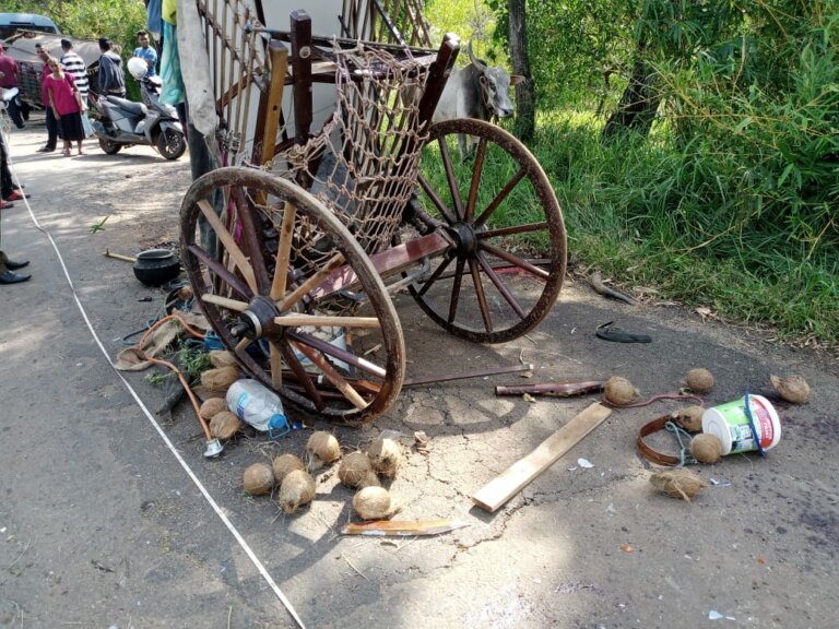 බස්-තිරික්කල අනතුරක්: මිනිසුන් 4ක් සහ ගවයන් 4කට තුවාල බස්-තිරික්කල අනතුරක්: මිනිසුන් 4ක් සහ ගවයන් 4කට තුවාල