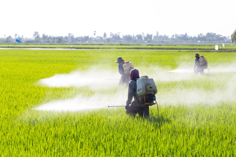 දැඩි නීති එක්ක පලිබෝධ පනත ආයෙත්