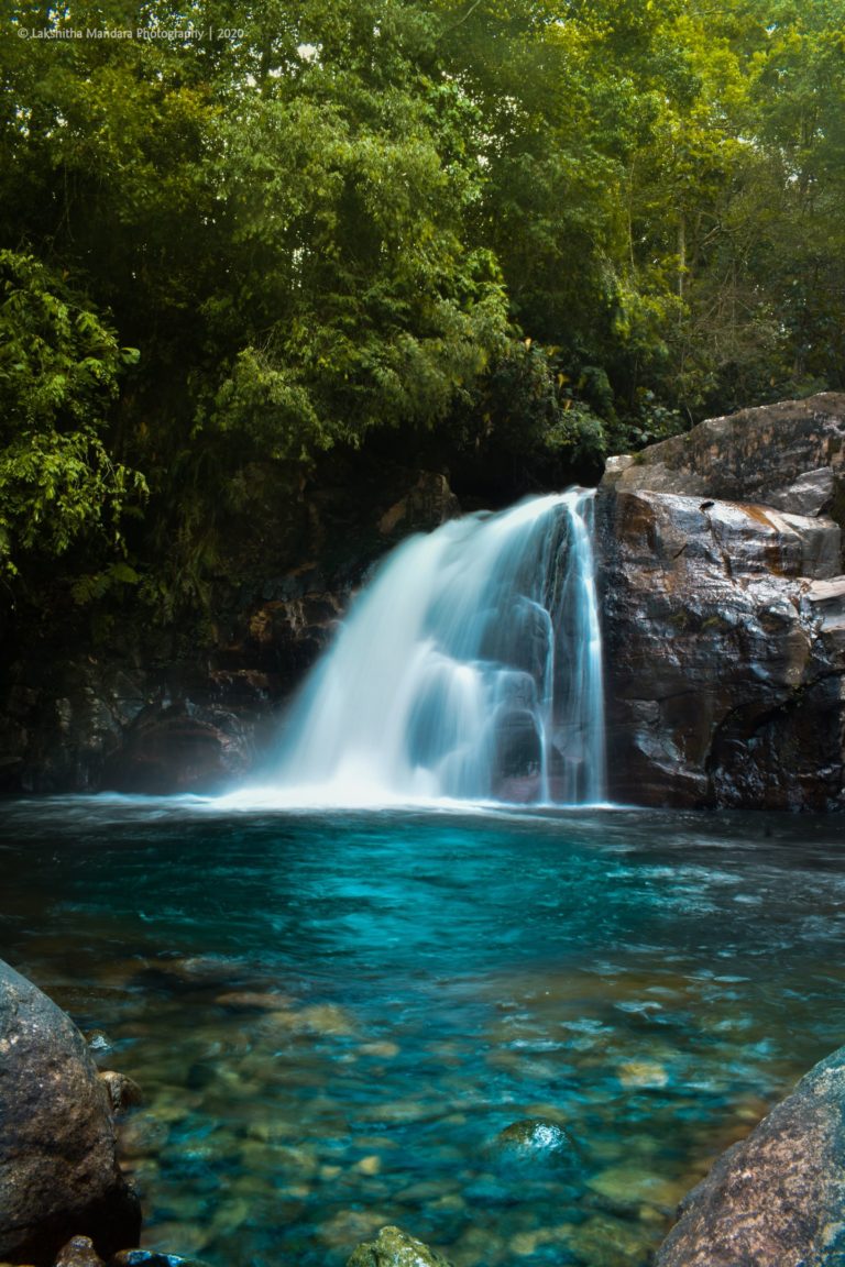සිංහරාජ මායිමේ දිය ඇලි සොයා