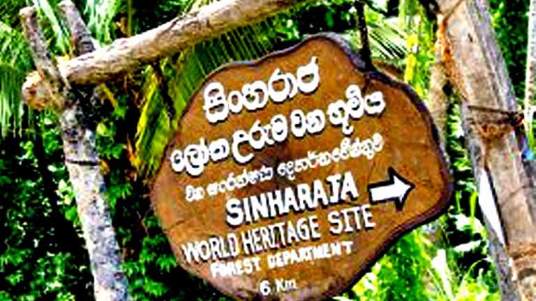 සිංහරාජයේ ඇත්ත නැත්ත බලන්න ආණ්ඩුවේ පසුපෙළ මන්ත්‍රීලා යයි