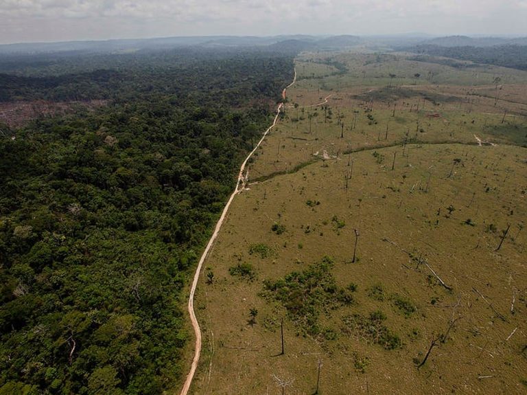 ආනයනවලින් ලොව ලොකුම වන විනාශය කරන බවට යුරෝපා සංගමයට චෝදනා ආනයනවලින් ලොව ලොකුම වන විනාශය කරන බවට යුරෝපා සංගමයට චෝදනා