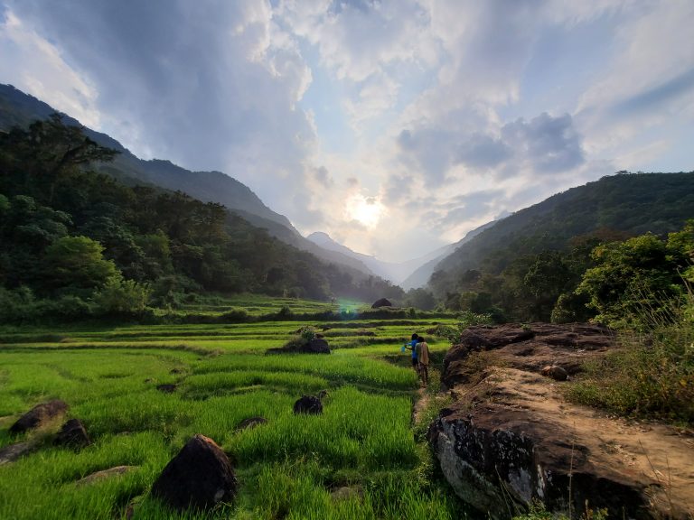 කඳු අතර වෙල් යායක්
