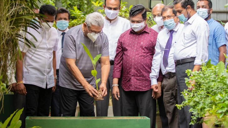 “සෑම ගෙවත්තකටම කහ පැලයක්“ ජාතික වැඩසටහන ඇරඹේ “සෑම ගෙවත්තකටම කහ පැලයක්“ ජාතික වැඩසටහන ඇරඹේ