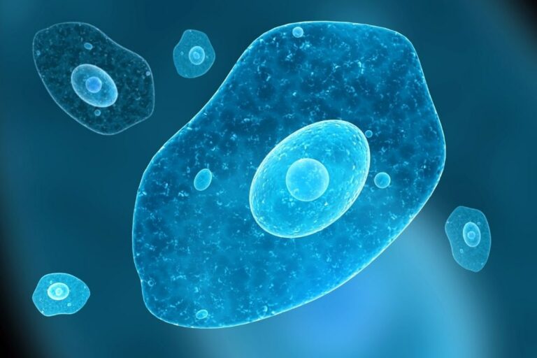 මානව යුද්ධ පවා දිනවූ අපරාජිත දෙවියන්ගේ අවිය