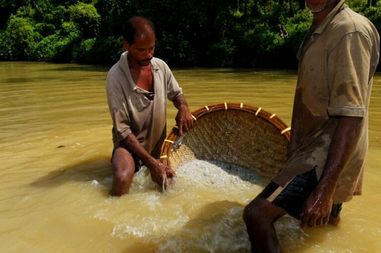 කිලෝ 80 ක තවත් නිල් මැණික් පොකුරක් කිලෝ 80 ක තවත් නිල් මැණික් පොකුරක්