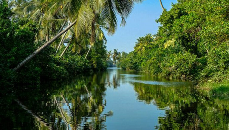 මුතුරාජවෙල රැකගන්න කාදිනල් හිමි ඉදිරිපත් කළ පෙත්සම සලකා බැලීමට අභියාචනාධිකරණය දින දෙයි මුතුරාජවෙල රැකගන්න කාදිනල් හිමි ඉදිරිපත් කළ පෙත්සම සලකා බැලීමට අභියාචනාධිකරණය දින දෙයි