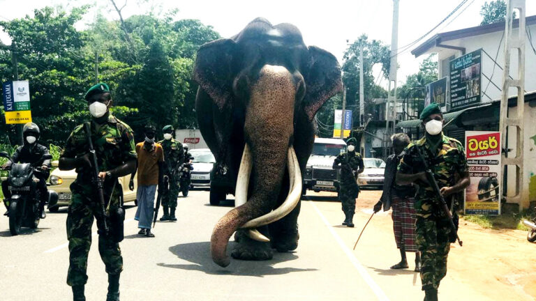 බල මහ පින ඔද තෙද වැඩු නැදුන්ගමුවේ රාජා
