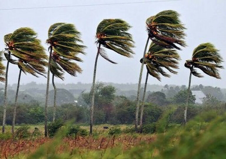 තද සුළං හා අකුණු ගැන සැළකිලිමත් වෙන්න