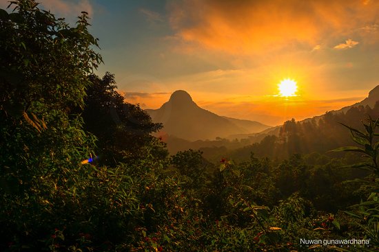 ශ්රී ලංකාවට හිරු මුදුන්වේ ශ්රී ලංකාවට හිරු මුදුන්වේ