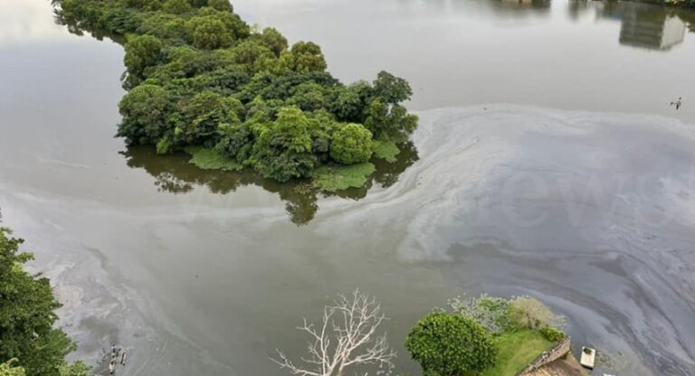 දියවන්නාවේ තෙල් පැල්ලමට හේතුව හෙළිවේ දියවන්නාවේ තෙල් පැල්ලමට හේතුව හෙළිවේ