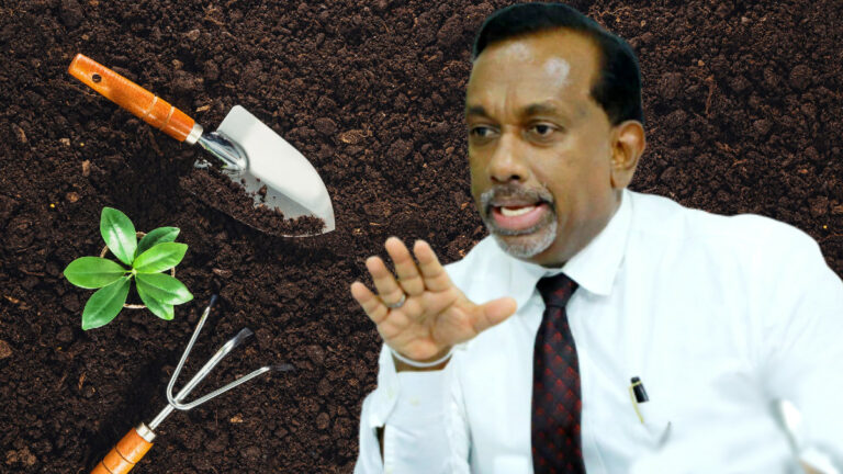 මහ කන්නයට චීන සමාගමෙන් පොහොර ගෙන්වීම නවතී