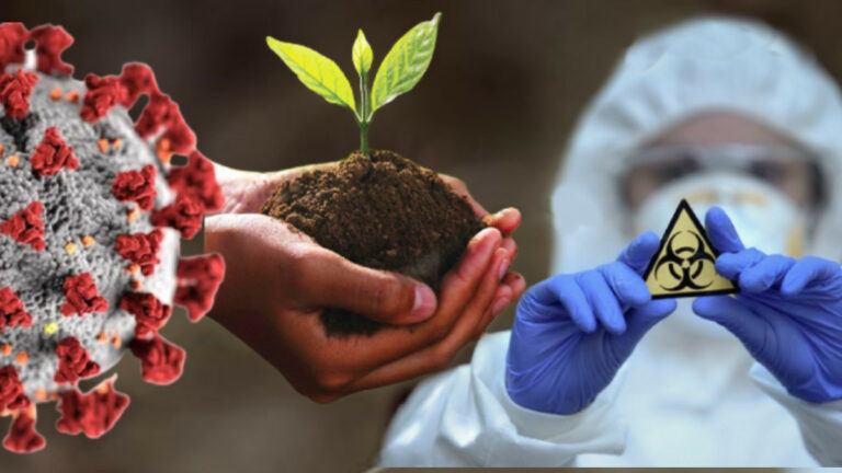 කොරෝනා, කාබනික පොහොර සහ ජෛව ත්‍රස්තවාදය