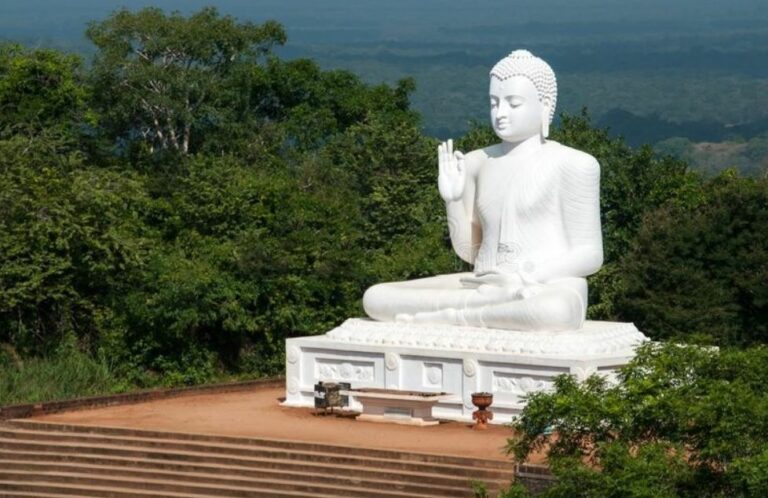 වප් පුන් පොහොය අදයි වප් පුන් පොහොය අදයි