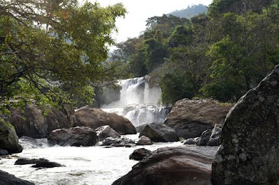 ගැරඬි ඇල්ලේ දිය රකුසාට බිලිවූ තරුණියගේ මළසිරුරත් හමුවෙයි ගැරඬි ඇල්ලේ දිය රකුසාට බිලිවූ තරුණියගේ මළසිරුරත් හමුවෙයි