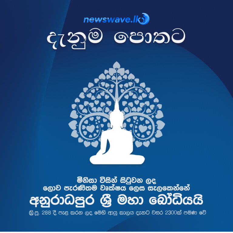 මිනිසා විසින් සිටුවන ලද ලොව පැරණිතම වෘක්ෂය ලෙස සැලකෙන්නේ අනුරාධපුර ශ්‍රී මහා බෝධියයි. ක්‍රි.පූ. 288 දී පැළ කරන ලද මෙහි ආයු කාලය දැනට වසර 2300ක් පමණ වේ.