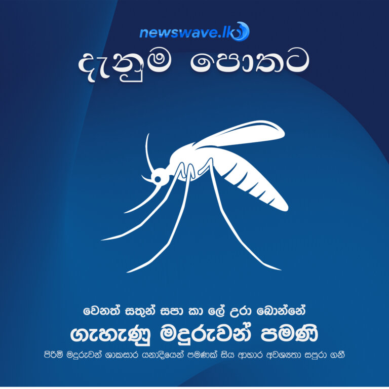 වෙනත් සතුන් සපා කා ලේ උරා බොන්නේ ගැහැණු මදුරුවන් පමණි පිරිමි මදුරුවන් ශාකසාර යනාදියෙන් පමණක් සිය ආහාර අවශ්‍යතා සපුරා ගනී