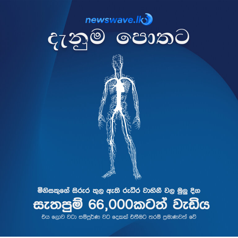 මිනිසකුගේ සිරුර තුල ඇති රුධිර වාහිනී වල මුලු දිග සැතපුම් 66,000කටත් වැඩිය. එය ලොව වටා සම්පූර්ණ වට දෙකක් එතීමට තරම් ප්‍රමාණවත් වේ