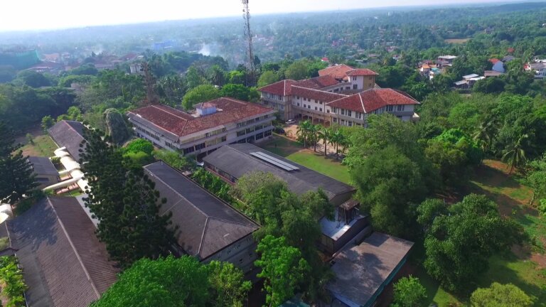 රාගම වෛද්ය පීඨ ශිෂ්යයන්ට පහරදුන් මැරයන් පැමිණි පොල් සංවර්ධනයේ වාහනය රියදුරු සමඟ අත්අඩංගුවට රාගම වෛද්ය පීඨ ශිෂ්යයන්ට පහරදුන් මැරයන් පැමිණි පොල් සංවර්ධනයේ වාහනය රියදුරු සමඟ අත්අඩංගුවට