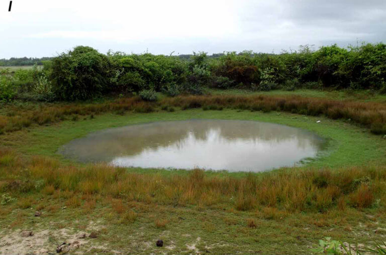 නයාරු, නන්දිකඩාල්, සාම්බලතිව් කලපු වන සංරක්ෂිත කලාප කරන්න අදහසක්