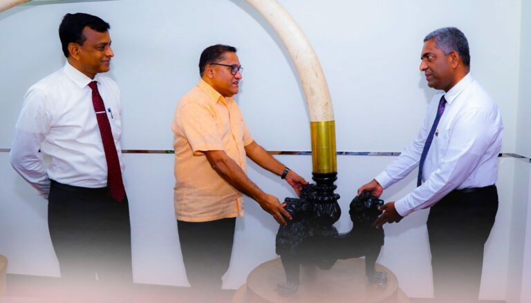 දුර්ලභ ගණයේ ඇත්දළ යුගලක් ඇමති නිල කාමරේ තියන් ඉඳලා