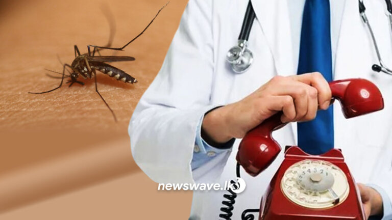 ඩෙංගු ගැන අහන්න අලුත් අංකයක්