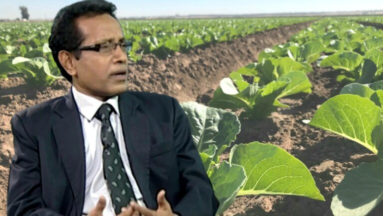කාබනික වගාවේ මහ මොළකරුවකු හදිසියේම රට යයි කාබනික වගාවේ මහ මොළකරුවකු හදිසියේම රට යයි