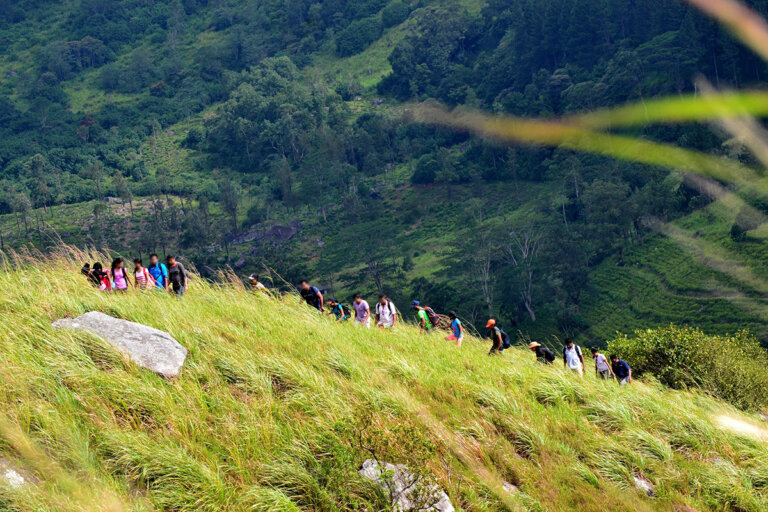හන්තානේ අතරමං සිසුන් හමුදා මෙහෙයුමකින් මුදාගනියි හන්තානේ අතරමං සිසුන් හමුදා මෙහෙයුමකින් මුදාගනියි