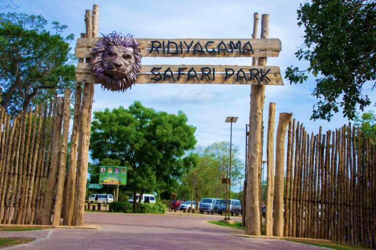 සත්තු වත්තේ අධ්යක්ෂකවරියට එරෙහි විරෝධයක් – පශු වෛද්යවරයෙක් සහ රියදුරෙක් රෝහල් ගත කෙරේ සත්තු වත්තේ අධ්යක්ෂකවරියට එරෙහි විරෝධයක් – පශු වෛද්යවරයෙක් සහ රියදුරෙක් රෝහල් ගත කෙරේ