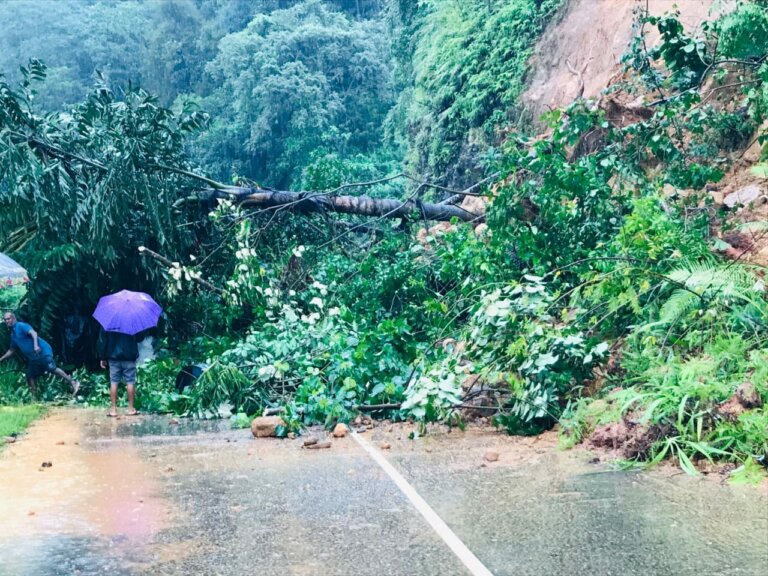 රත්නපුරයේ නායයාම් සහ ගස් කඩා වැටීම් – සිරිපාගම මාර්ගයත් අවහිරයි රත්නපුරයේ නායයාම් සහ ගස් කඩා වැටීම් – සිරිපාගම මාර්ගයත් අවහිරයි