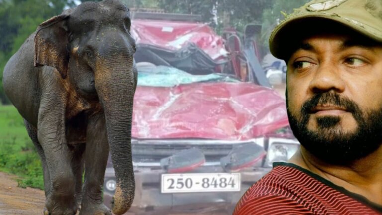 ජැක්සන්ට සිදුවූ අලි අනතුරට හේතු එළියට ජැක්සන්ට සිදුවූ අලි අනතුරට හේතු එළියට