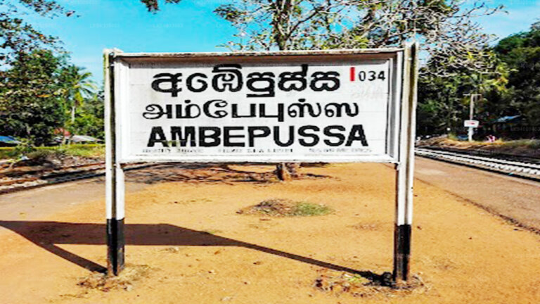 ටිකට් සල්ලි වංචා සිද්ධියකට අඹේපුස්ස ස්ටේෂන් මාස්ටර්ගේ වැඩ තහනම් ටිකට් සල්ලි වංචා සිද්ධියකට අඹේපුස්ස ස්ටේෂන් මාස්ටර්ගේ වැඩ තහනම්