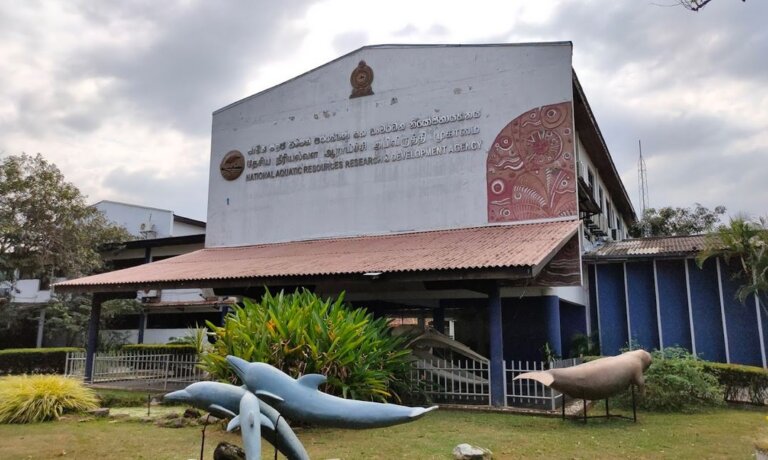 ඉන්දීය ධීවරයෝ වසරකට ඩොලර් මි.2000ක් ලංකාවට නැතිකරන හැටි හෙළිවෙයි ඉන්දීය ධීවරයෝ වසරකට ඩොලර් මි.2000ක් ලංකාවට නැතිකරන හැටි හෙළිවෙයි