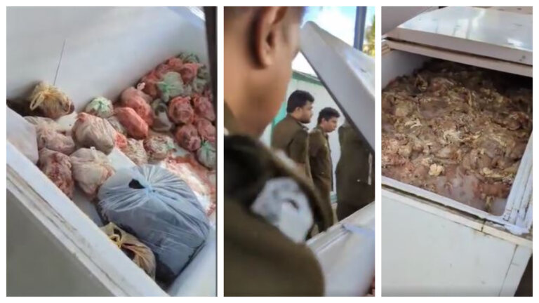 සතුන්ට වෙන්කළ කුකුල් මස් රයිස්-කොත්තුවලට? සතුන්ට වෙන්කළ කුකුල් මස් රයිස්-කොත්තුවලට?