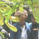 PM office – suspects (11)