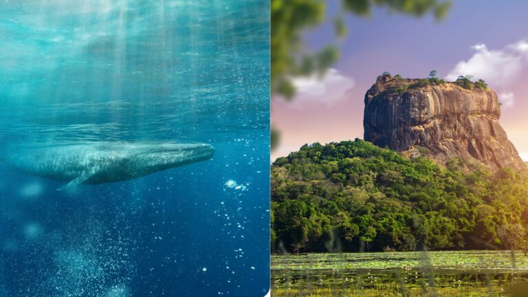අඩි 30,000කදී ස්වභාව මාතාවට උපහාර