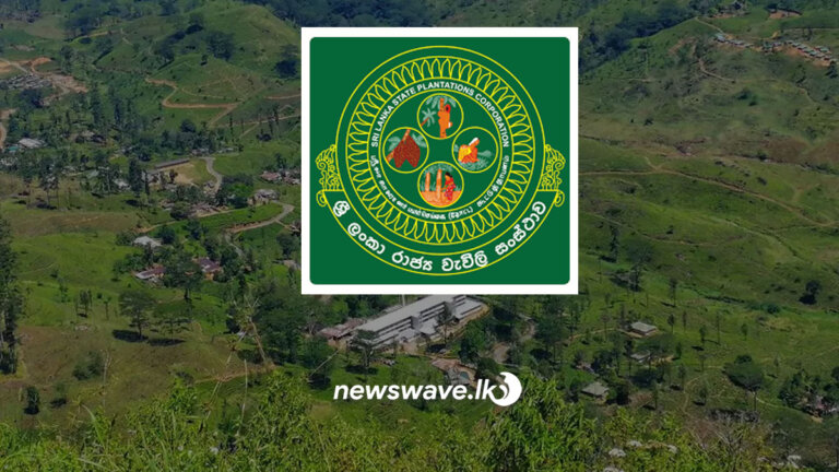 වැවිලි සංස්ථාව සතු අතිරික්ත ඉඩම් පෞද්ගලික අංශයට