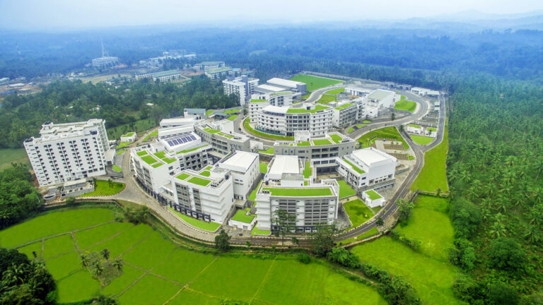 හරිත සරසවියටත් හොරු පනිති හරිත සරසවියටත් හොරු පනිති