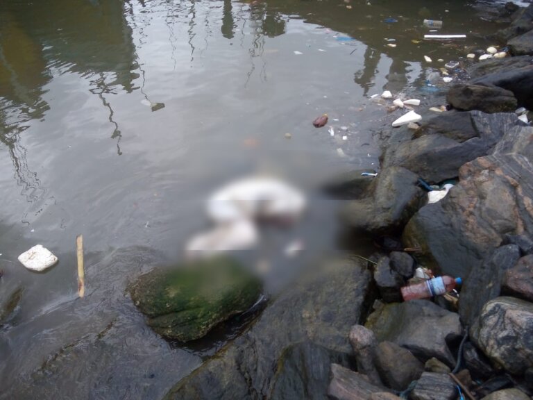 දික්ඕවිට වෙරළින් හමුවූ ගෝනියක දැමූ මළ සිරුර විදේශිකයෙකුගේ දැයි සැකයක් දික්ඕවිට වෙරළින් හමුවූ ගෝනියක දැමූ මළ සිරුර විදේශිකයෙකුගේ දැයි සැකයක්