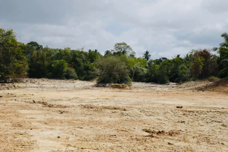 වයඹ වැව් ප්‍රතිසංස්කරණ මුවාවෙන් සිදුවන ඛනිජ කැනීමේ ජාවාරම
