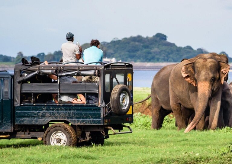 සෆාරි කැබ් රියෙන් බිමට වැටී හෝටල් කළමනාකරුවකු මරුට