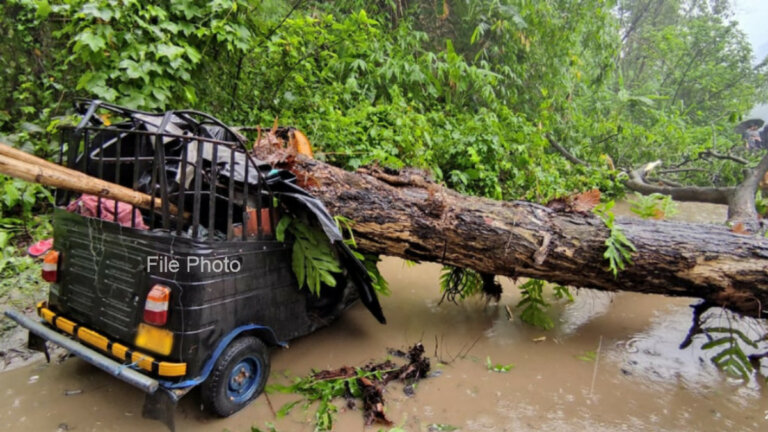 ත්රීරෝද රථයක් මතට ගසක් කඩාවැටීමෙන් මව-පියා-පුතුන් දෙදෙනා රෝහලේ ත්රීරෝද රථයක් මතට ගසක් කඩාවැටීමෙන් මව-පියා-පුතුන් දෙදෙනා රෝහලේ