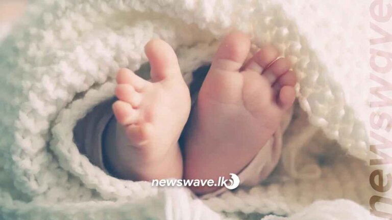 නාන කාමරයේ දිය පිරුණු බේසමට වැටී මාස 11 සිඟිත්තිය මිය යයි නාන කාමරයේ දිය පිරුණු බේසමට වැටී මාස 11 සිඟිත්තිය මිය යයි