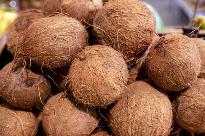 සතොසට දිනකට පොල් ලක්ෂයක් සතොසට දිනකට පොල් ලක්ෂයක්