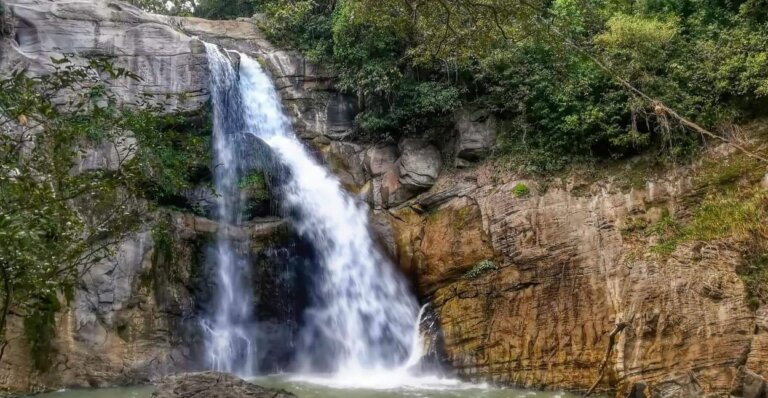 ඇල්ලවල ඇල්ල දෙස් විදෙස් සංචාරකයින්ට තහනම් ඇල්ලවල ඇල්ල දෙස් විදෙස් සංචාරකයින්ට තහනම්