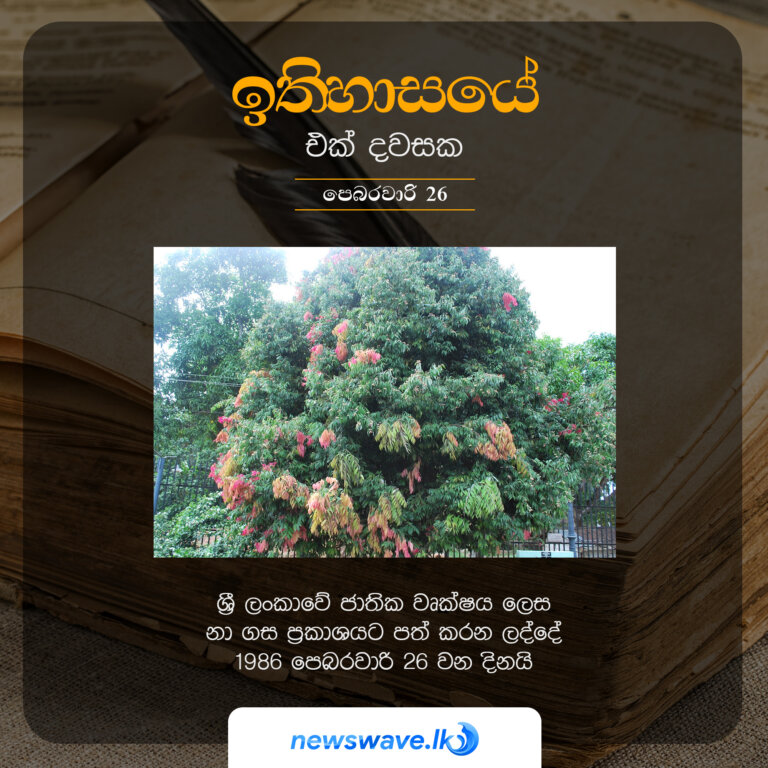 ශ්‍රී ලංකාවේ ජාතික වෘක්ෂය ලෙස නා ගස ප්‍රකාශයට පත් කරන ලද්දේ 1986 පෙබරවාරි 26 වන දිනයි