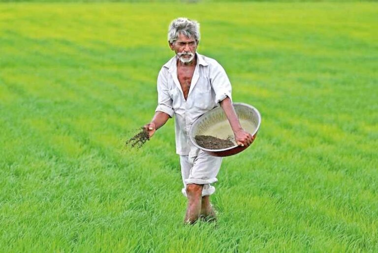 යල කන්නයට පොහොර දෙන්න ඔක්කොම රෙඩි