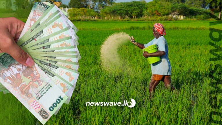 පොහොර සහනාධාරය ලෙස රුපියල් මිලියන 1292ක මුදලක් ගොවි ගිණුම්වලට