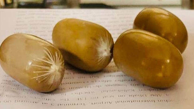 පස්ස පැත්තේ රත්රන් ජෙල් -ත්රීරෝද රියදුරු අල්ලයි පස්ස පැත්තේ රත්රන් ජෙල් -ත්රීරෝද රියදුරු අල්ලයි