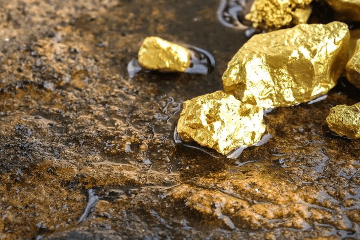 කොටි වලදැමූ රන් සොයා ආ සැරයන් එක්ක 04ක් කොටු – ඔයාමඩු ස්ථානාධිපතිත් එතැනට ඇවිත් ගිහින් කොටි වලදැමූ රන් සොයා ආ සැරයන් එක්ක 04ක් කොටු – ඔයාමඩු ස්ථානාධිපතිත් එතැනට ඇවිත් ගිහින්