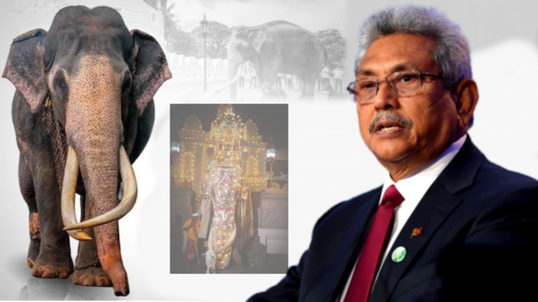 ජනපතිගේත් හද කම්පා කළ සද්දන්තයාගේ නික්මයාම ජනපතිගේත් හද කම්පා කළ සද්දන්තයාගේ නික්මයාම